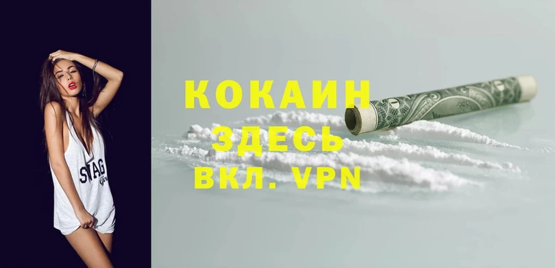 Купить закладку Пошехонье ГАШИШ  Канабис  COCAIN  Меф мяу мяу 