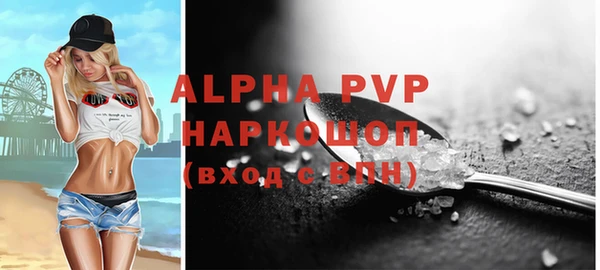 apvp Горняк