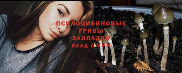 альфа пвп Нея
