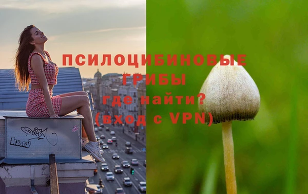 стаф Наволоки