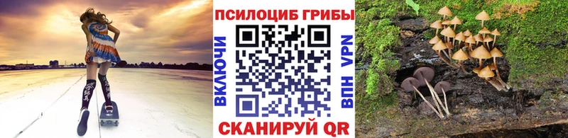 blacksprut маркетплейс  Пошехонье  Псилоцибиновые грибы Psilocybine cubensis  закладки 