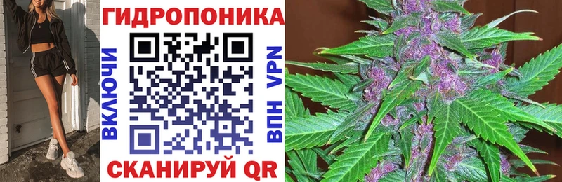 Канабис план  купить наркотик  Пошехонье 